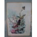 FRAMED AND MATTED SHADOWBOX BUTTERFLIES AND FLOWERS ART SIGNED BY ARTIST   312211521968